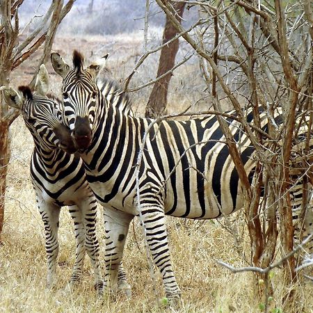 Ndlovu Log Home Dinokeng Klipdrift المظهر الخارجي الصورة