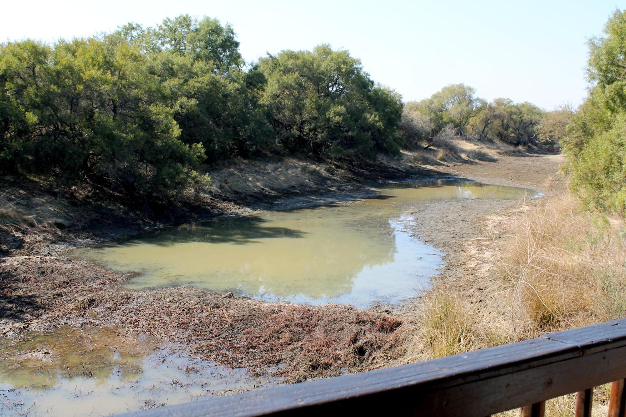 Ndlovu Log Home Dinokeng Klipdrift المظهر الخارجي الصورة